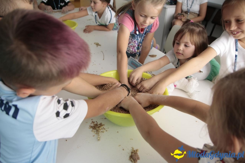 MORSKIE PÓŁKOLONIE 2019 na Uniwersytecie Morskim