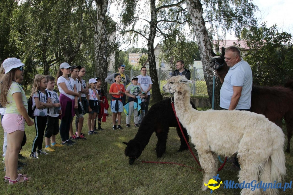 MORSKIE PÓŁKOLONIE 2019 na Uniwersytecie Morskim