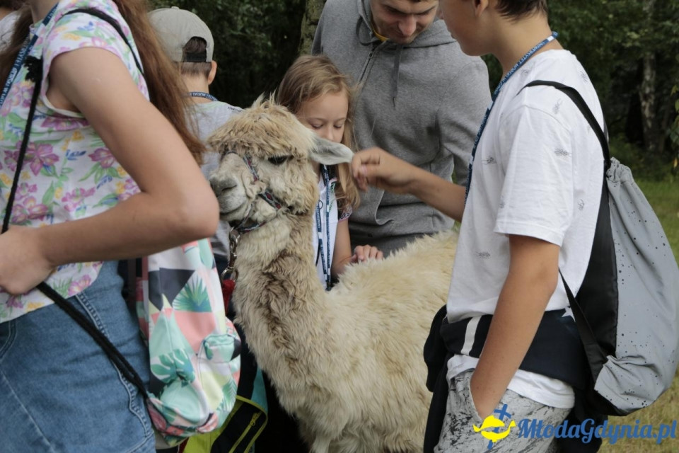 MORSKIE PÓŁKOLONIE 2019 na Uniwersytecie Morskim