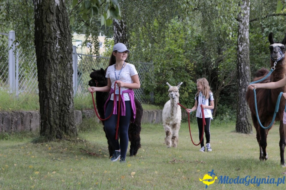 MORSKIE PÓŁKOLONIE 2019 na Uniwersytecie Morskim