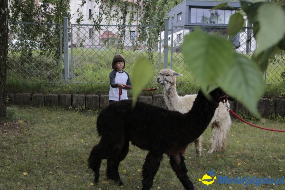 MORSKIE PÓŁKOLONIE 2019 na Uniwersytecie Morskim