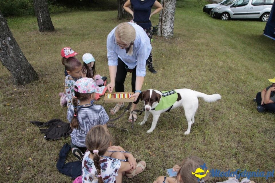 MORSKIE PÓŁKOLONIE 2019 na Uniwersytecie Morskim