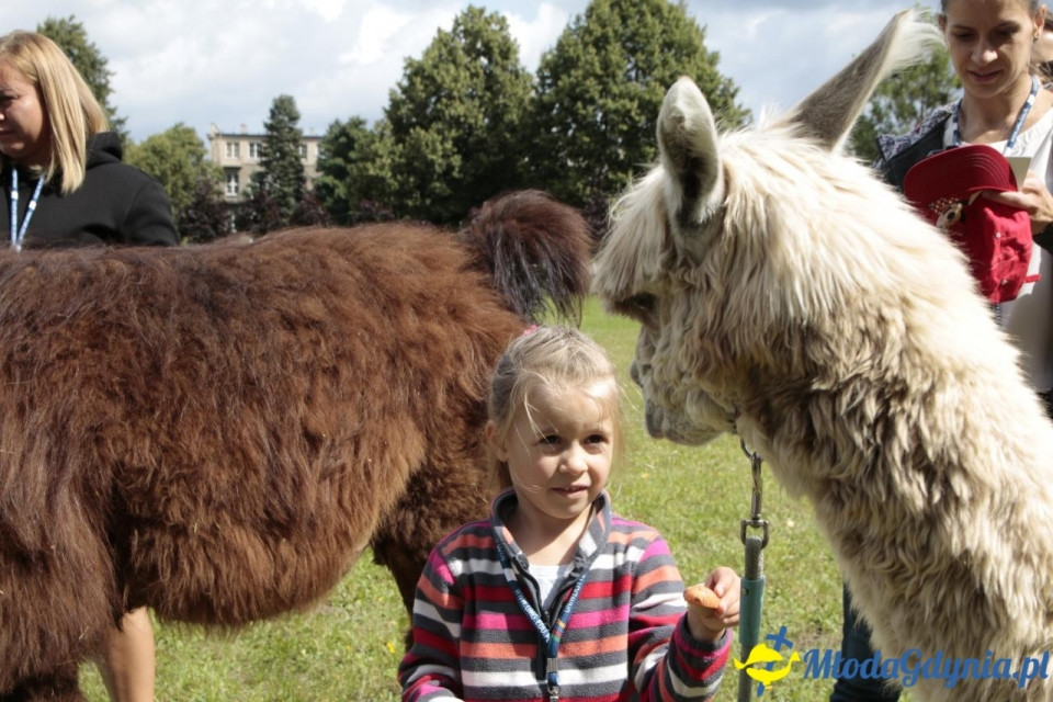 MORSKIE PÓŁKOLONIE 2019 na Uniwersytecie Morskim