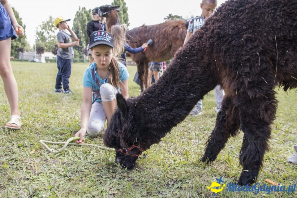 MORSKIE PÓŁKOLONIE 2019 na Uniwersytecie Morskim