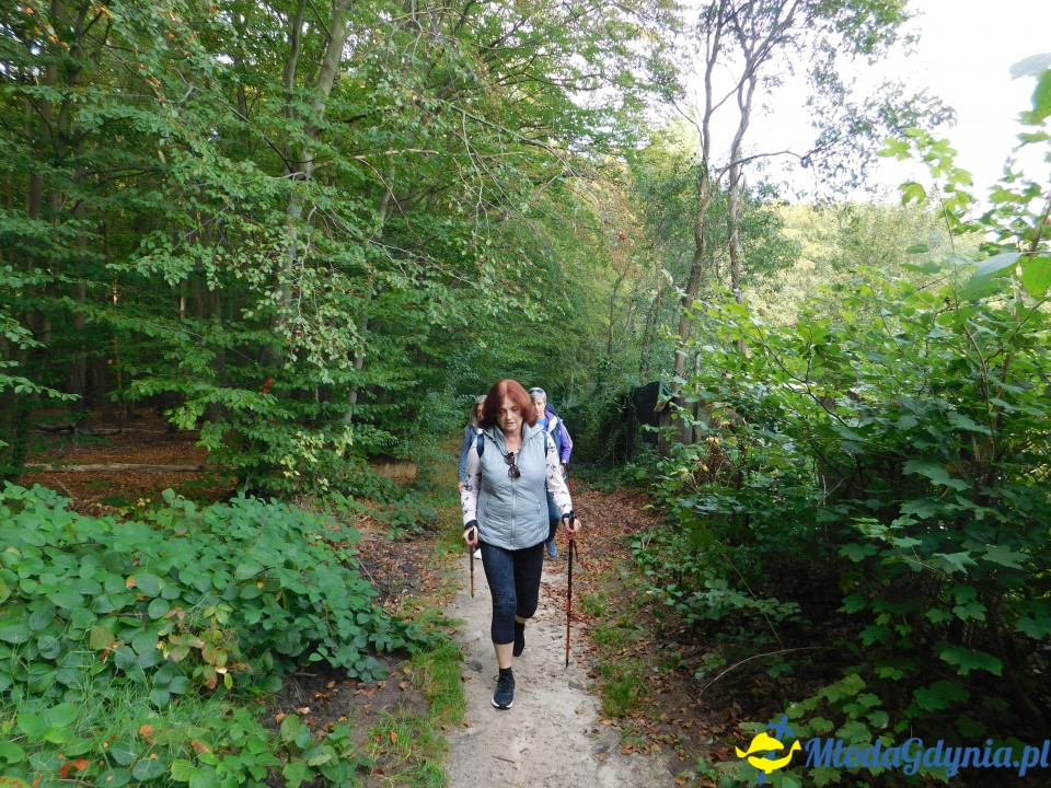 Witomiński Nordic Walking - Leśny Szlak Nordic Walking - 07.09.2019