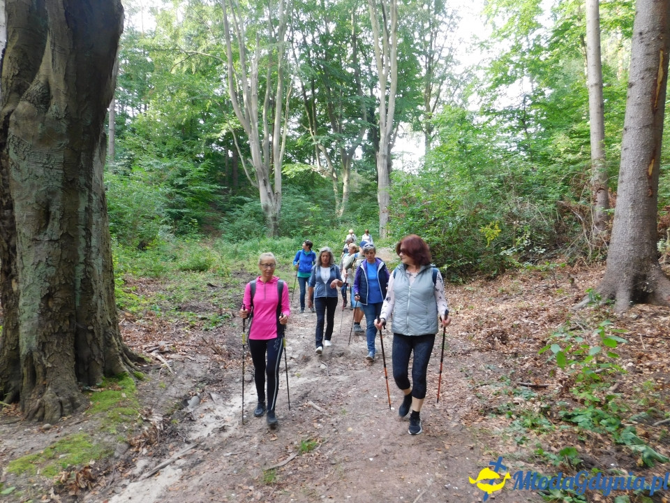 Witomiński Nordic Walking - Leśny Szlak Nordic Walking - 07.09.2019