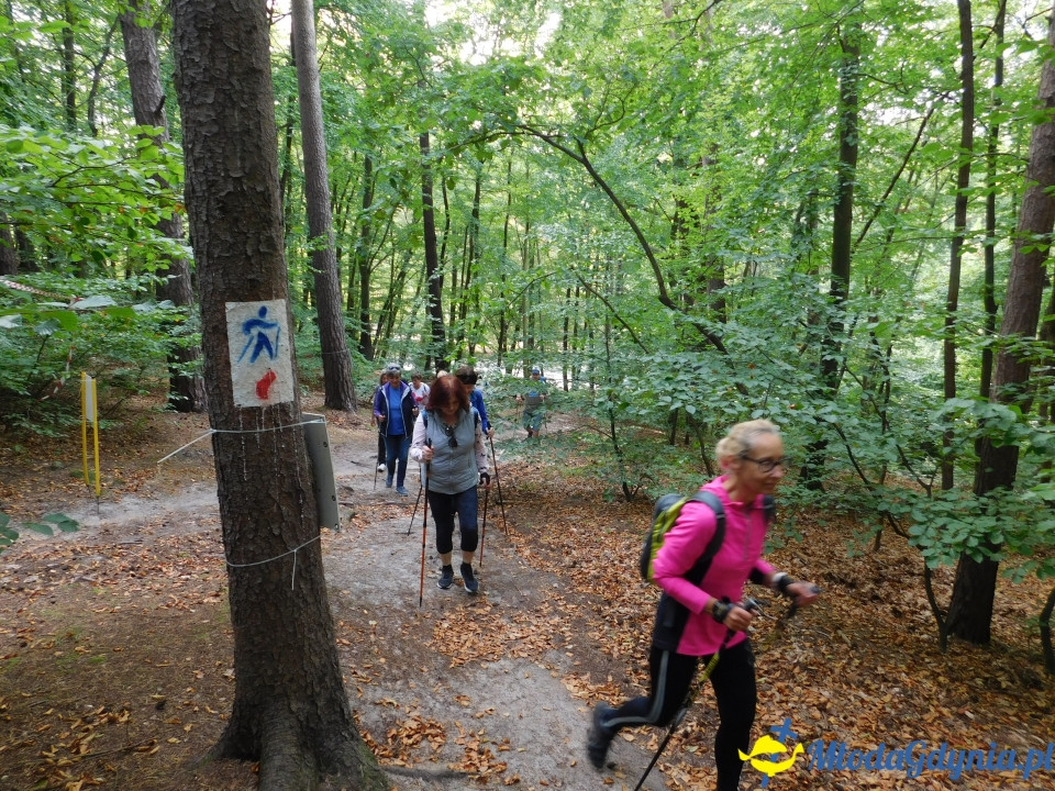 Witomiński Nordic Walking - Leśny Szlak Nordic Walking - 07.09.2019