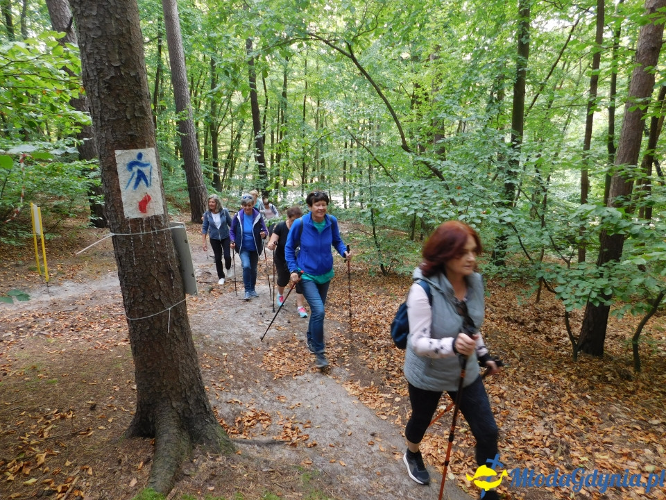 Witomiński Nordic Walking - Leśny Szlak Nordic Walking - 07.09.2019