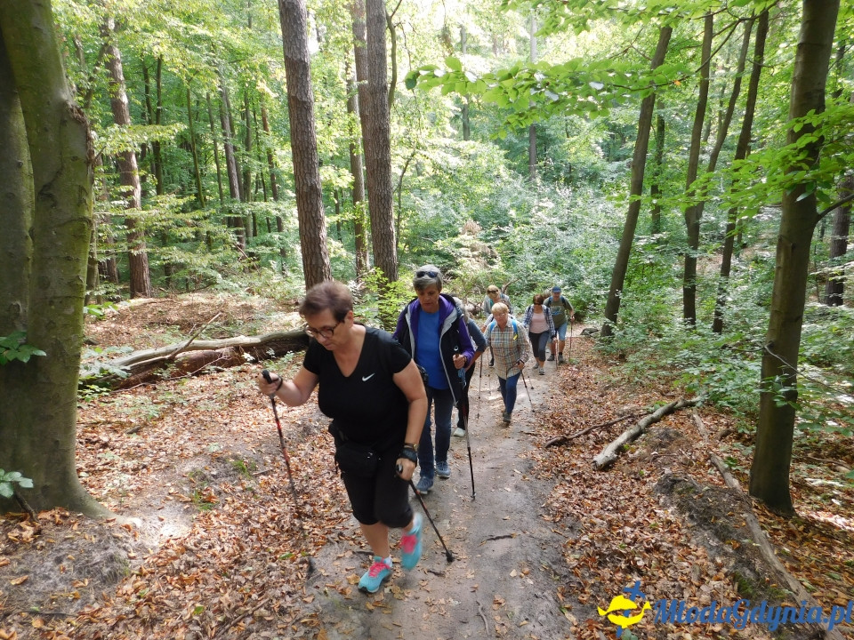 Witomiński Nordic Walking - Leśny Szlak Nordic Walking - 07.09.2019
