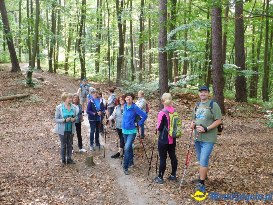 Witomiński Nordic Walking - Leśny Szlak Nordic Walking - 07.09.2019