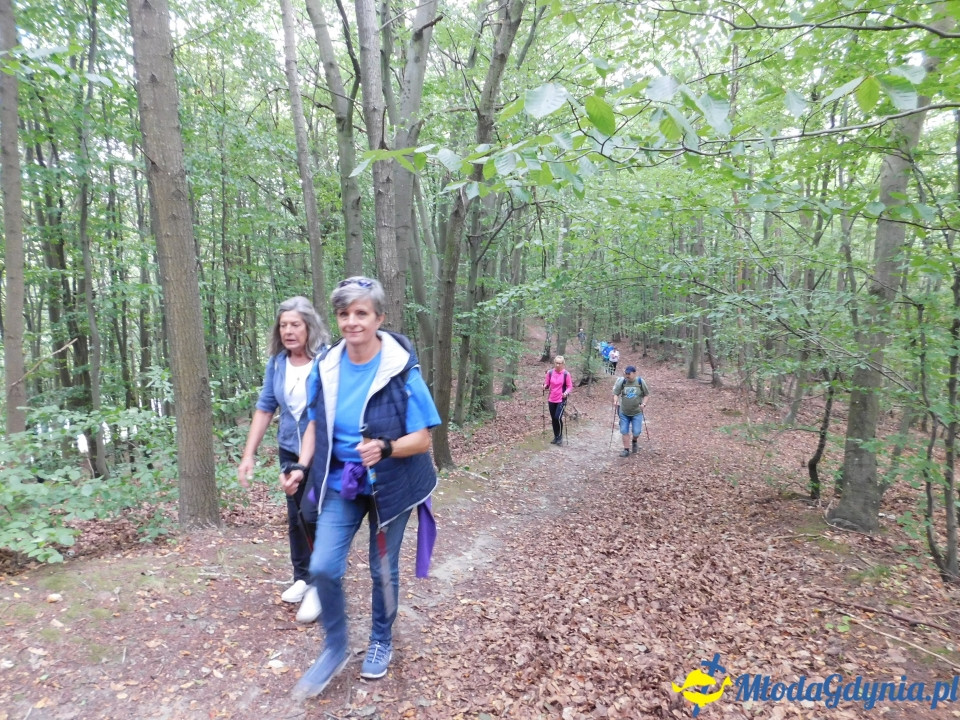 Witomiński Nordic Walking - Leśny Szlak Nordic Walking - 07.09.2019