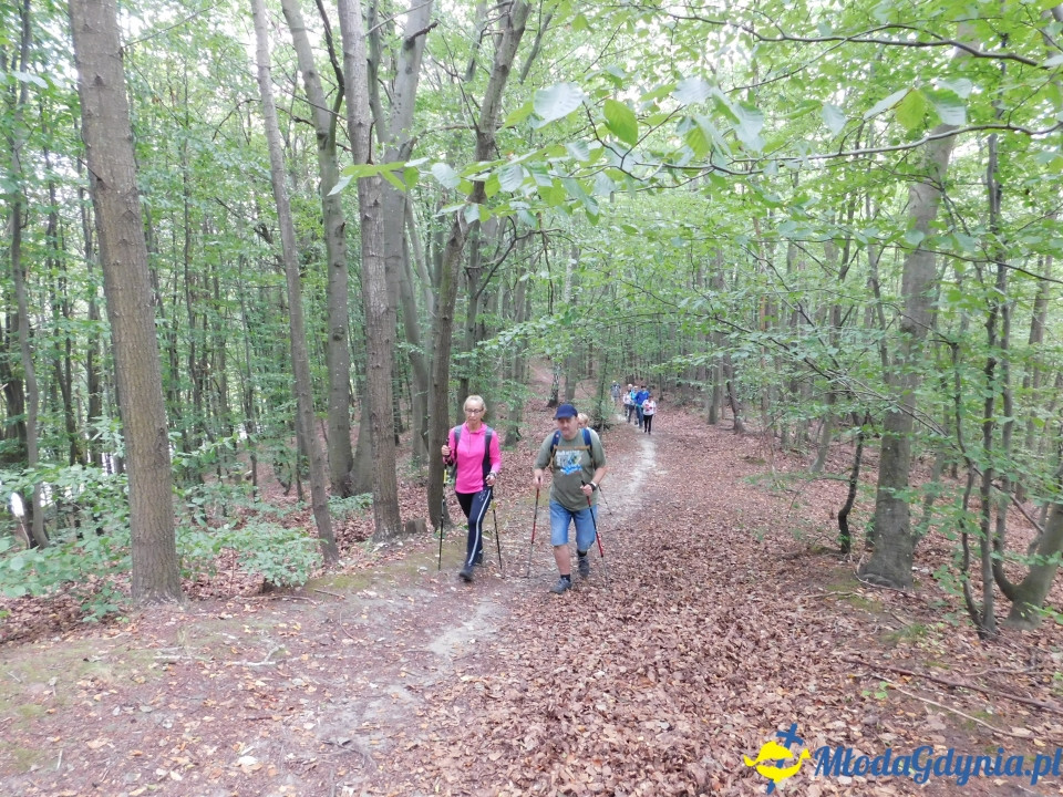 Witomiński Nordic Walking - Leśny Szlak Nordic Walking - 07.09.2019