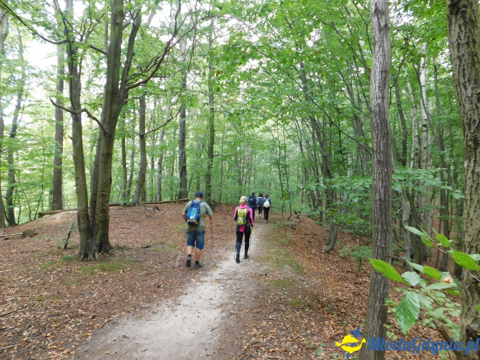 Witomiński Nordic Walking - Leśny Szlak Nordic Walking - 07.09.2019