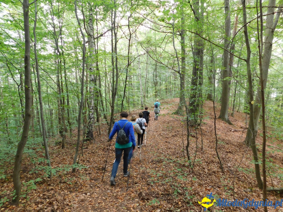 Witomiński Nordic Walking - Leśny Szlak Nordic Walking - 07.09.2019