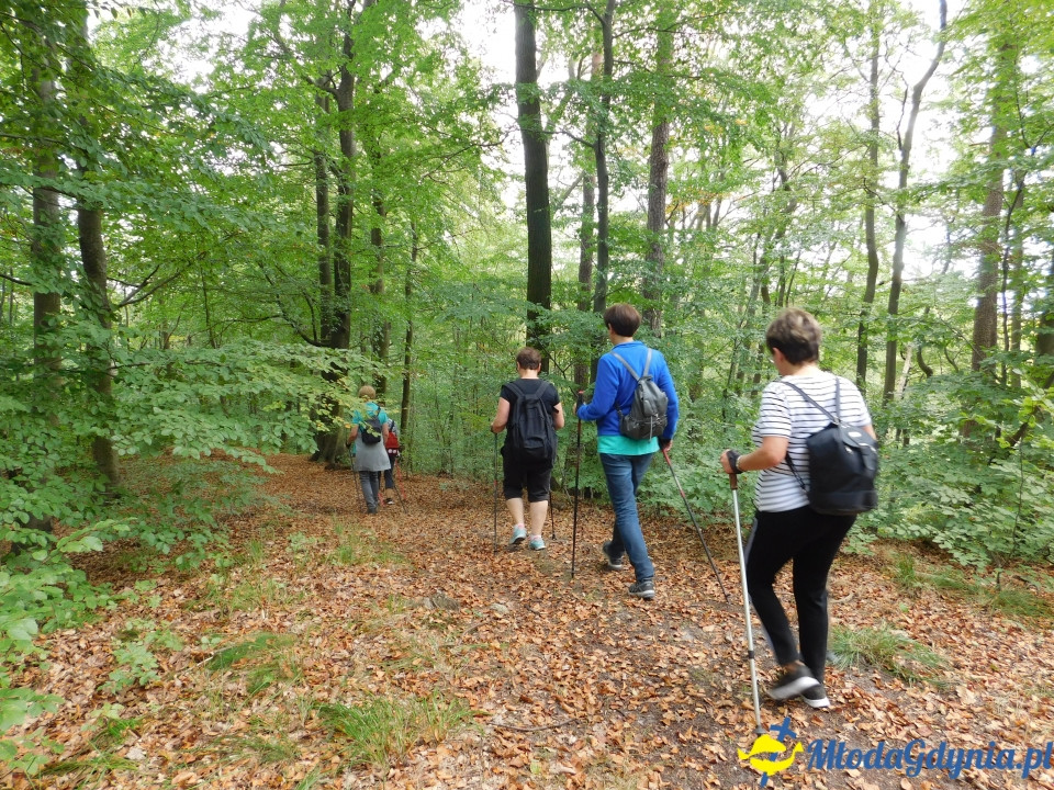 Witomiński Nordic Walking - Leśny Szlak Nordic Walking - 07.09.2019