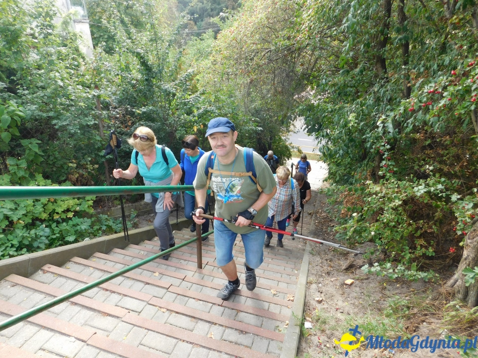 Witomiński Nordic Walking - Leśny Szlak Nordic Walking - 07.09.2019