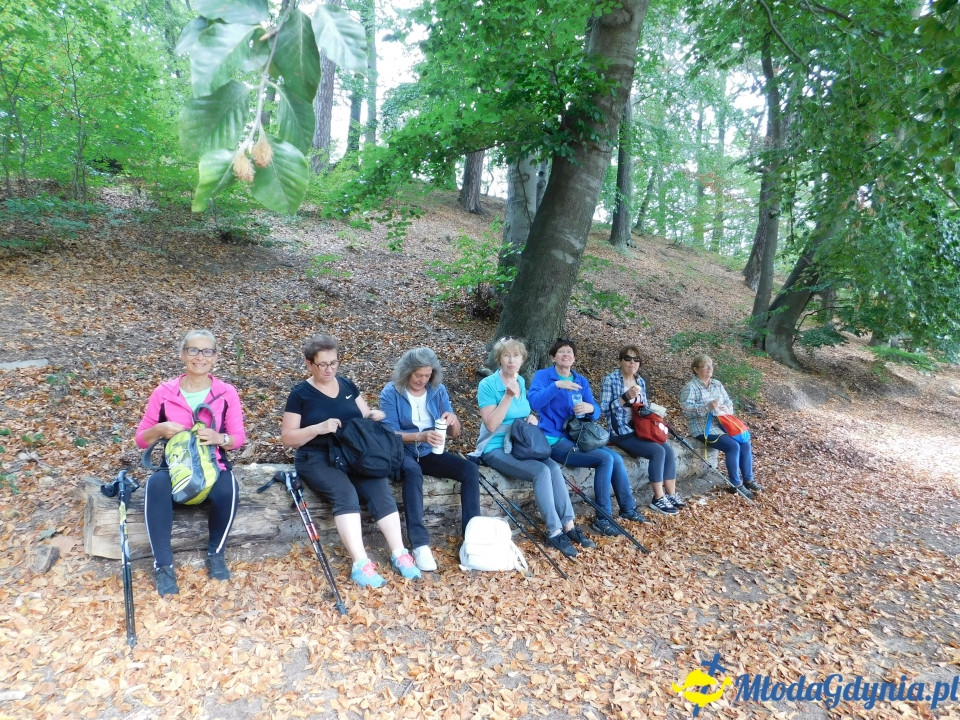 Witomiński Nordic Walking - Leśny Szlak Nordic Walking - 07.09.2019