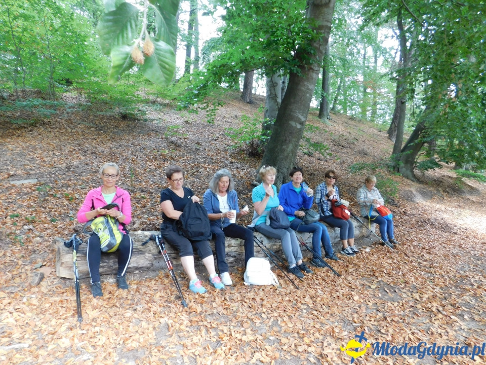 Witomiński Nordic Walking - Leśny Szlak Nordic Walking - 07.09.2019