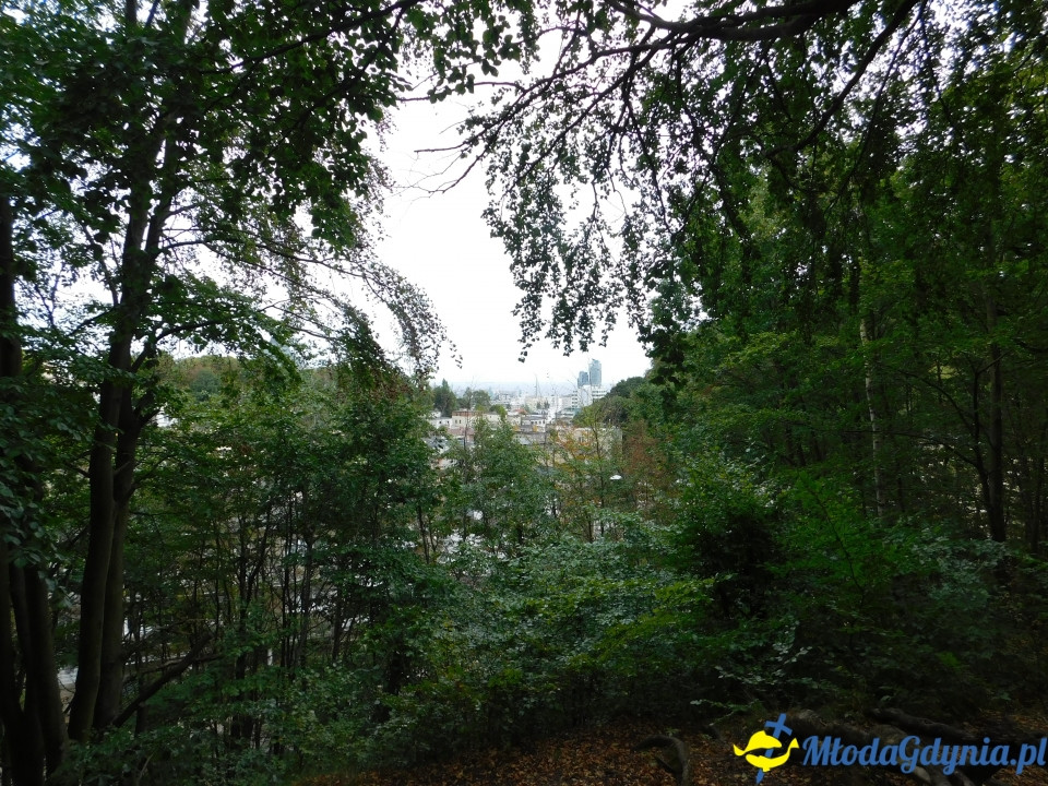 Witomiński Nordic Walking - Leśny Szlak Nordic Walking - 07.09.2019