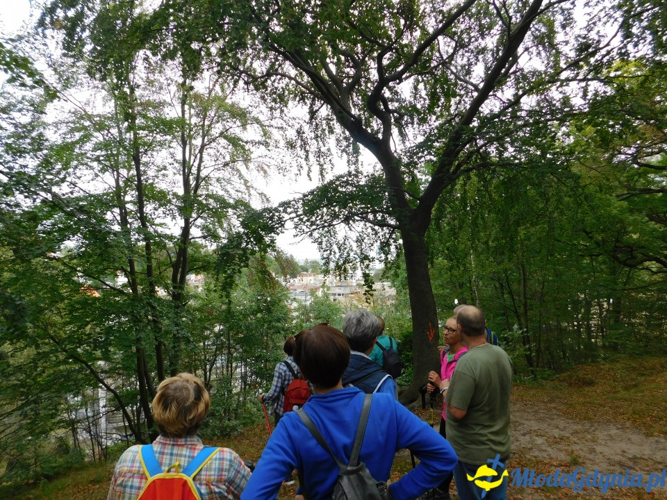 Witomiński Nordic Walking - Leśny Szlak Nordic Walking - 07.09.2019