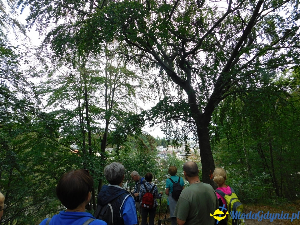 Witomiński Nordic Walking - Leśny Szlak Nordic Walking - 07.09.2019
