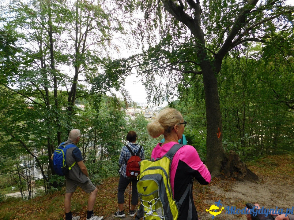 Witomiński Nordic Walking - Leśny Szlak Nordic Walking - 07.09.2019