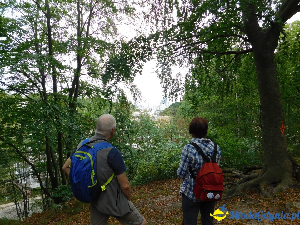 Witomiński Nordic Walking - Leśny Szlak Nordic Walking - 07.09.2019