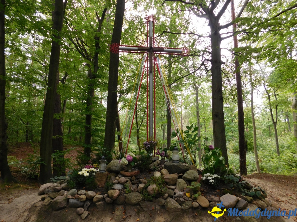 Witomiński Nordic Walking - Leśny Szlak Nordic Walking - 07.09.2019