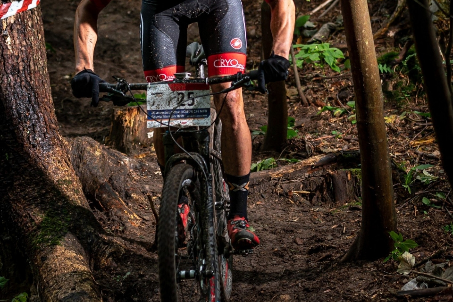 Mistrzostwa Polski MTB 2019 - odsłona leśna