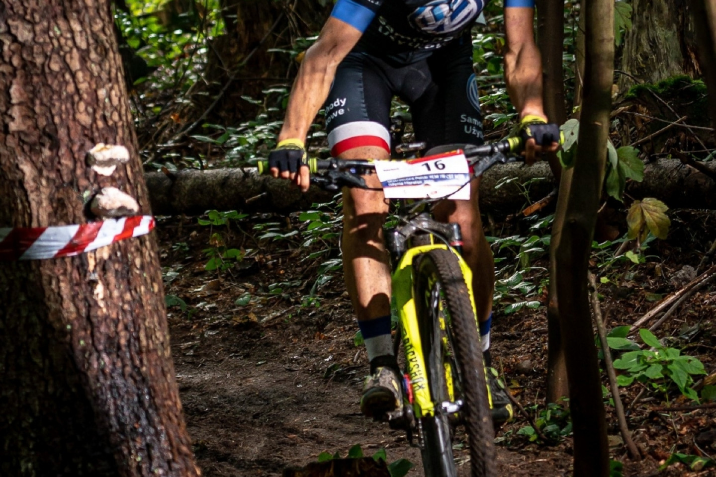 Mistrzostwa Polski MTB 2019 - odsłona leśna