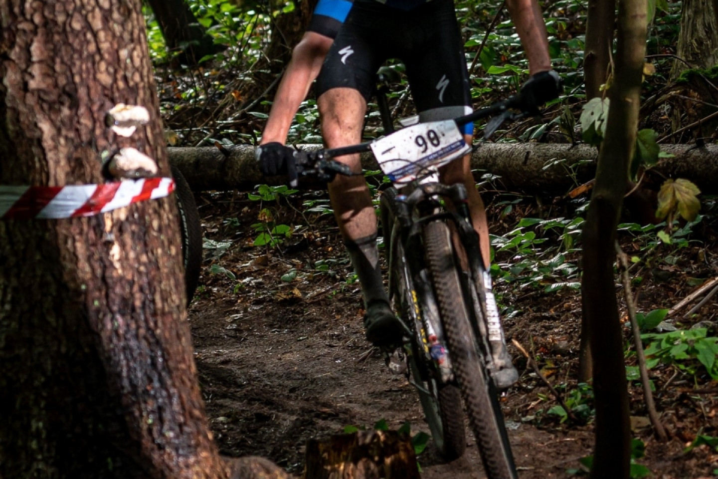 Mistrzostwa Polski MTB 2019 - odsłona leśna