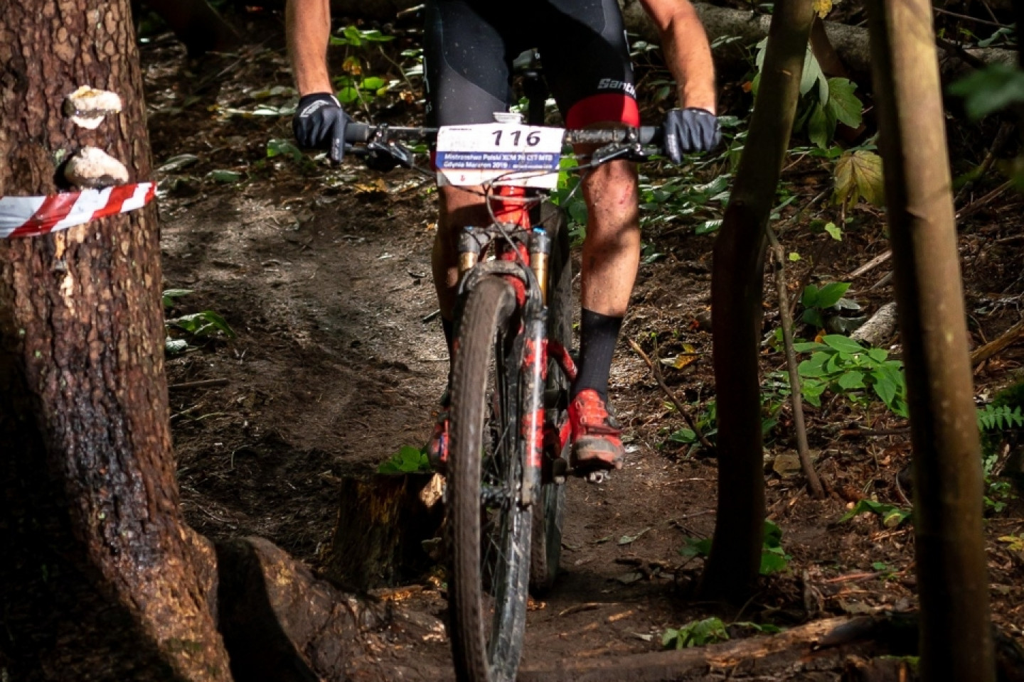 Mistrzostwa Polski MTB 2019 - odsłona leśna