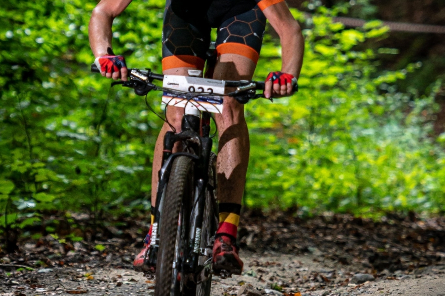 Mistrzostwa Polski MTB 2019 - odsłona leśna