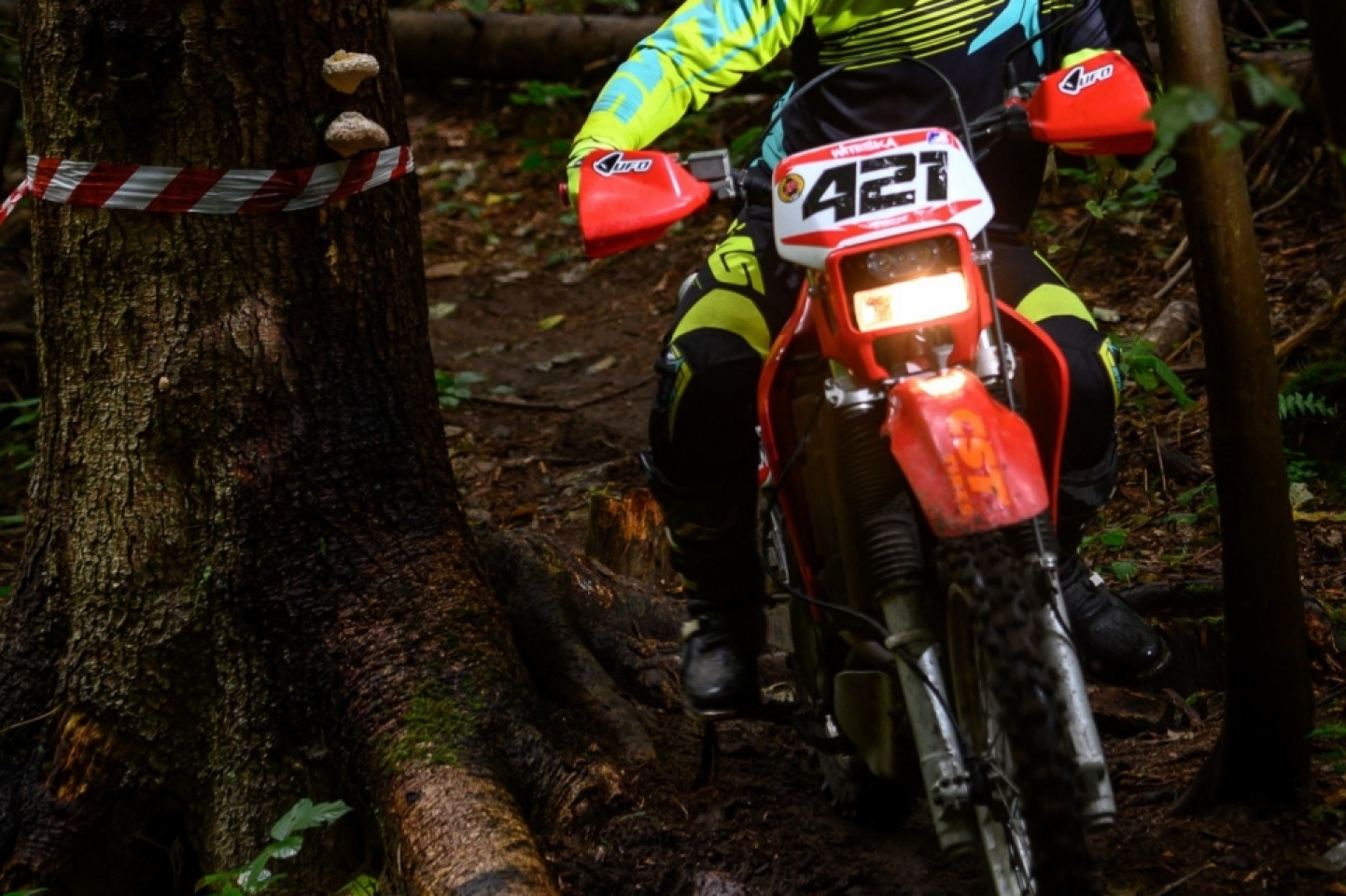 Mistrzostwa Polski MTB 2019 - odsłona leśna