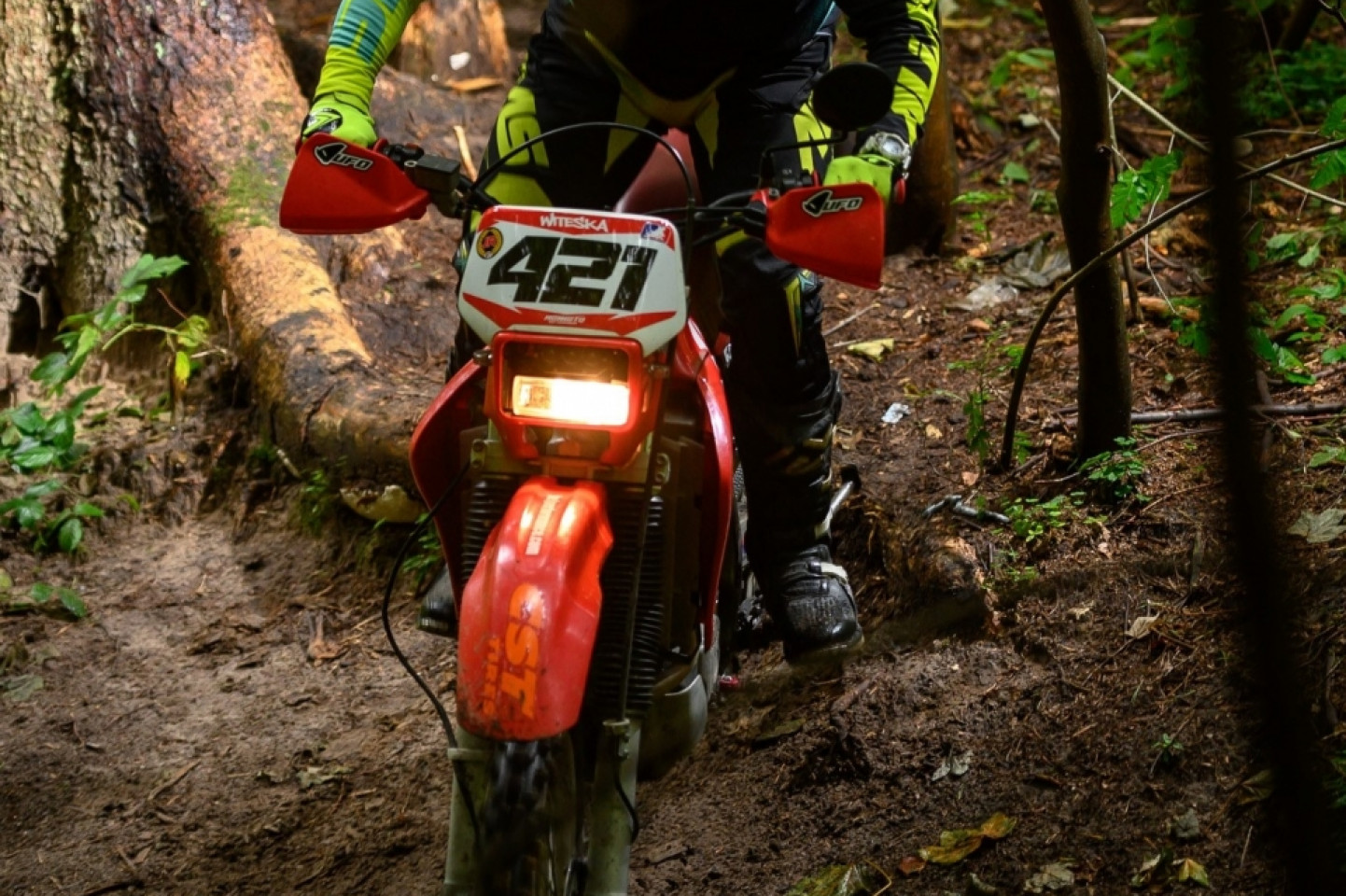 Mistrzostwa Polski MTB 2019 - odsłona leśna