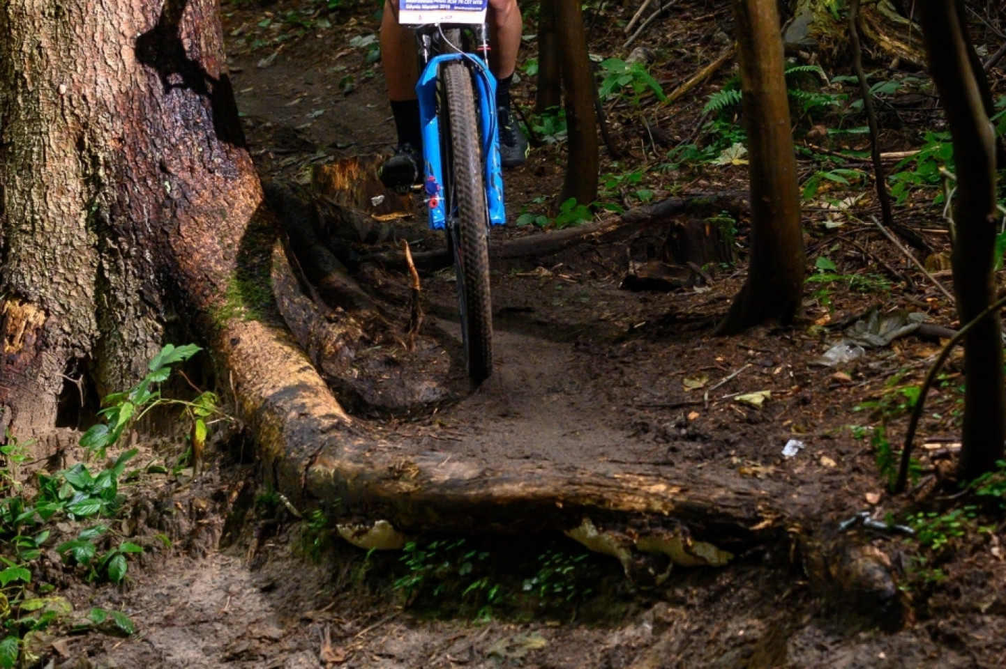 Mistrzostwa Polski MTB 2019 - odsłona leśna