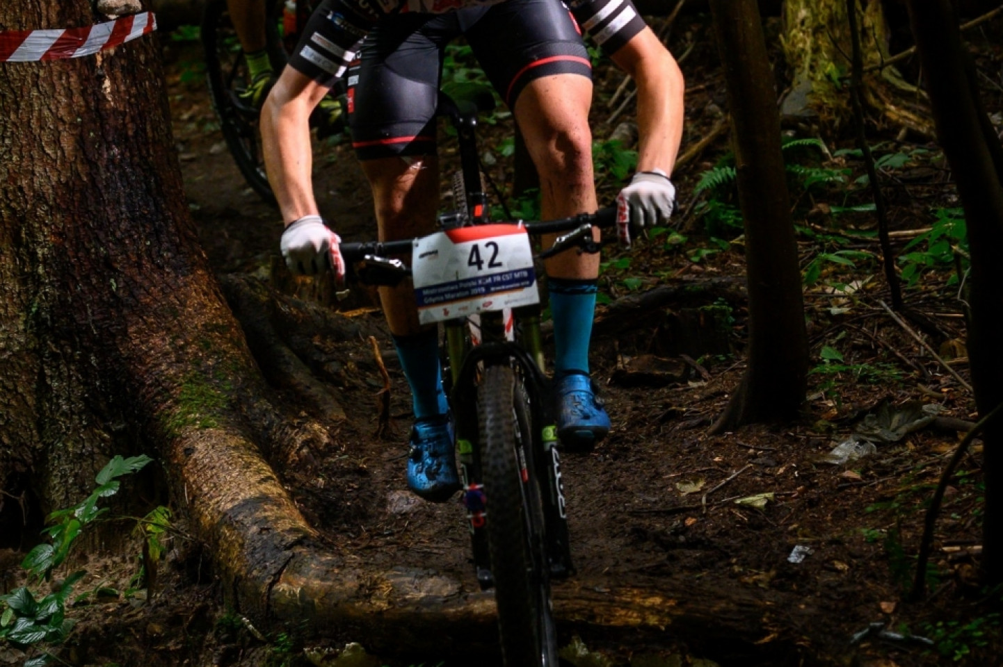 Mistrzostwa Polski MTB 2019 - odsłona leśna