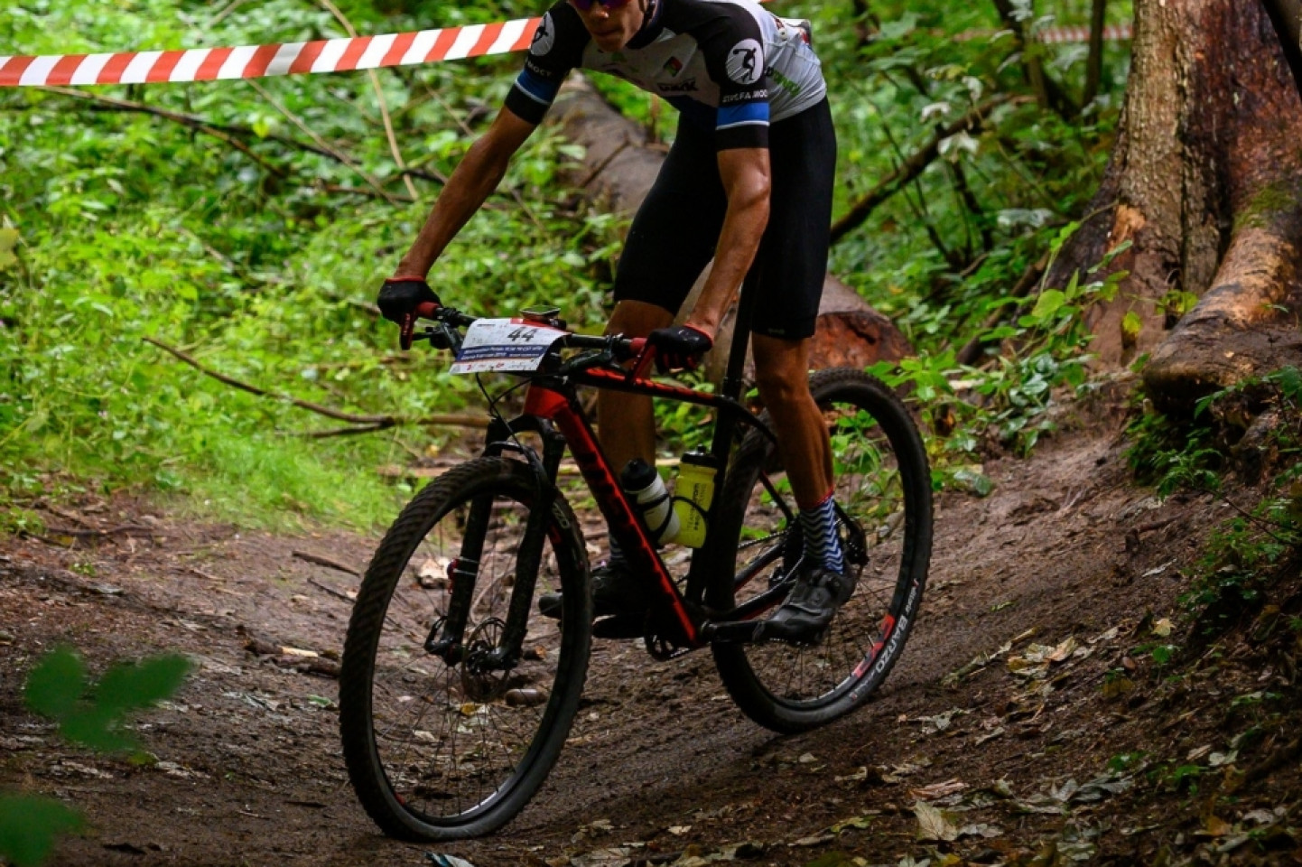 Mistrzostwa Polski MTB 2019 - odsłona leśna