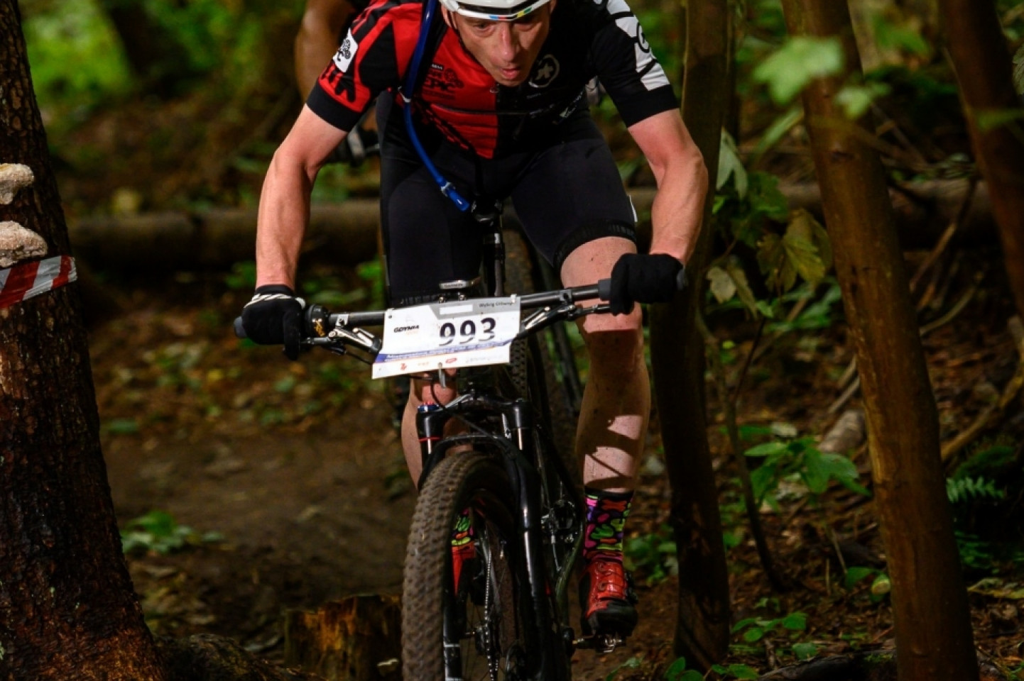 Mistrzostwa Polski MTB 2019 - odsłona leśna