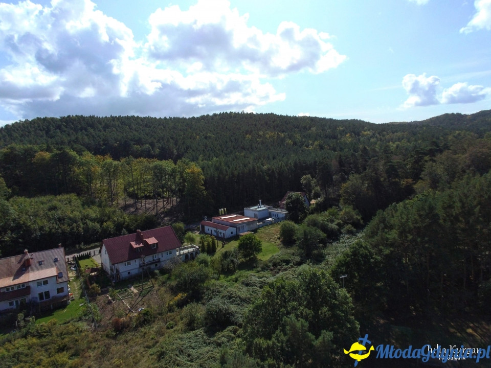 Dzielnicowy Festyn Rodzinny 2019