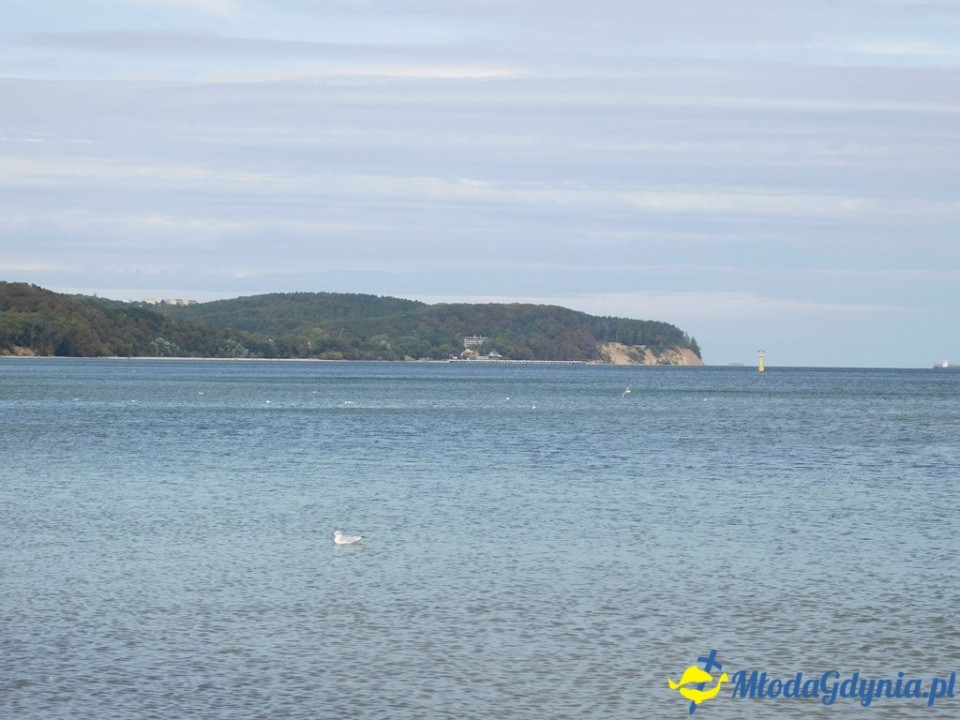 Marsz charytatywny - Od mola do mola - Piaskiem w raka - 15.09.2019