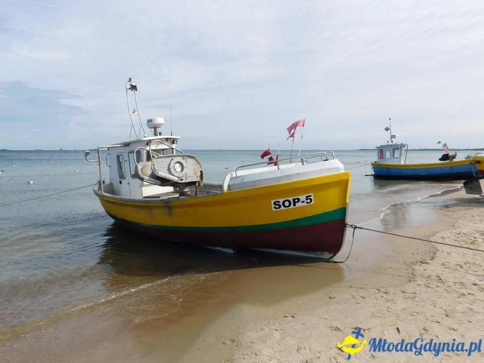 Marsz charytatywny - Od mola do mola - Piaskiem w raka - 15.09.2019