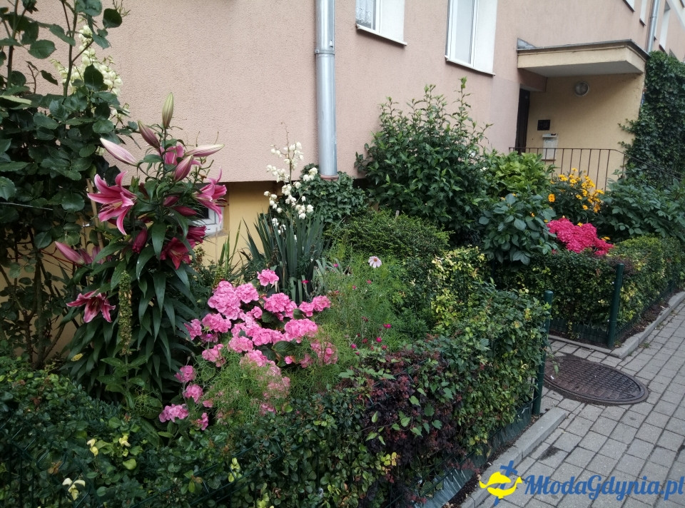 Regionalne smaki i ogrodowe inspiracje na Darach Ziemi