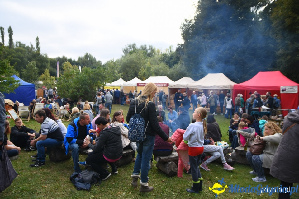 Regionalne smaki i ogrodowe inspiracje na Darach Ziemi