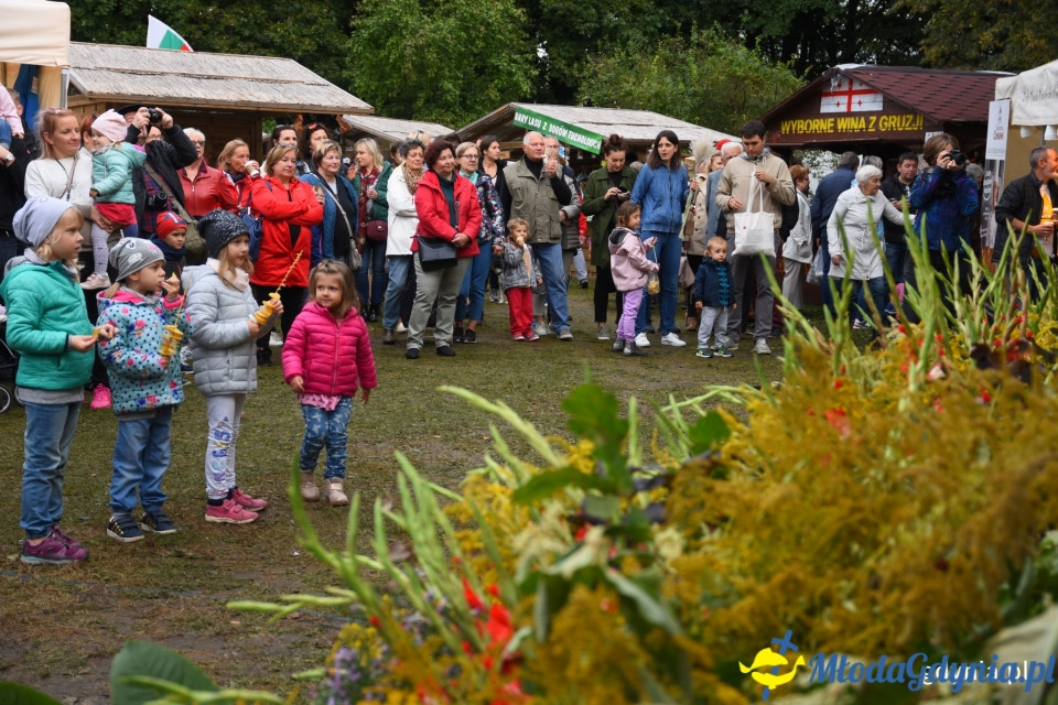 Regionalne smaki i ogrodowe inspiracje na Darach Ziemi