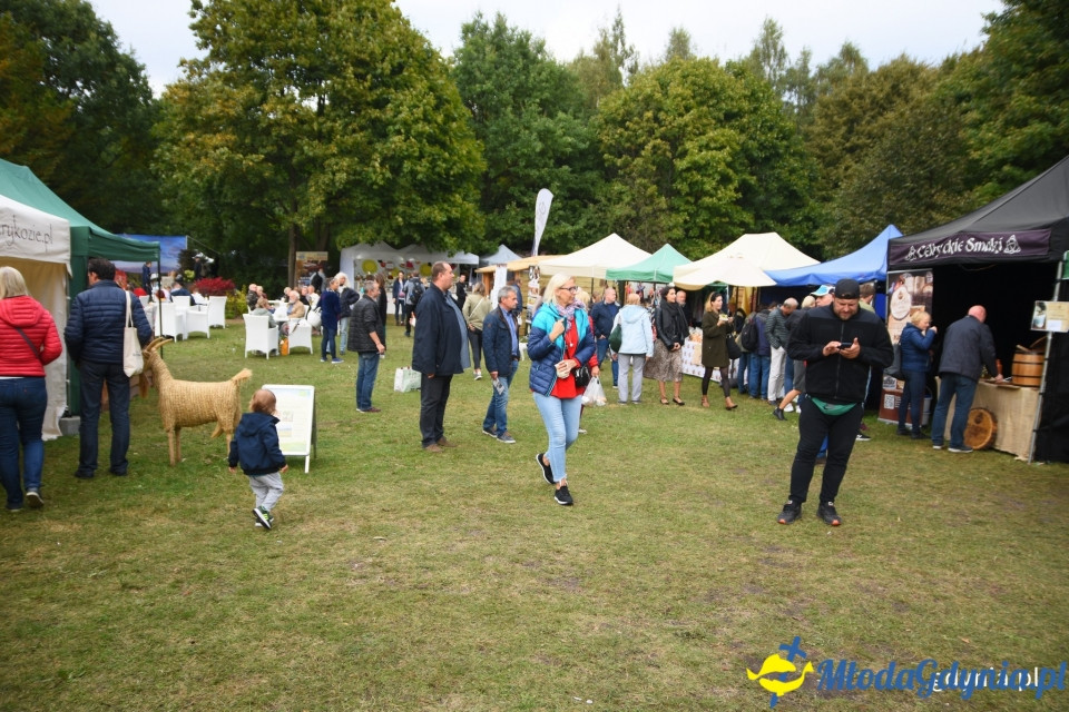 Regionalne smaki i ogrodowe inspiracje na Darach Ziemi