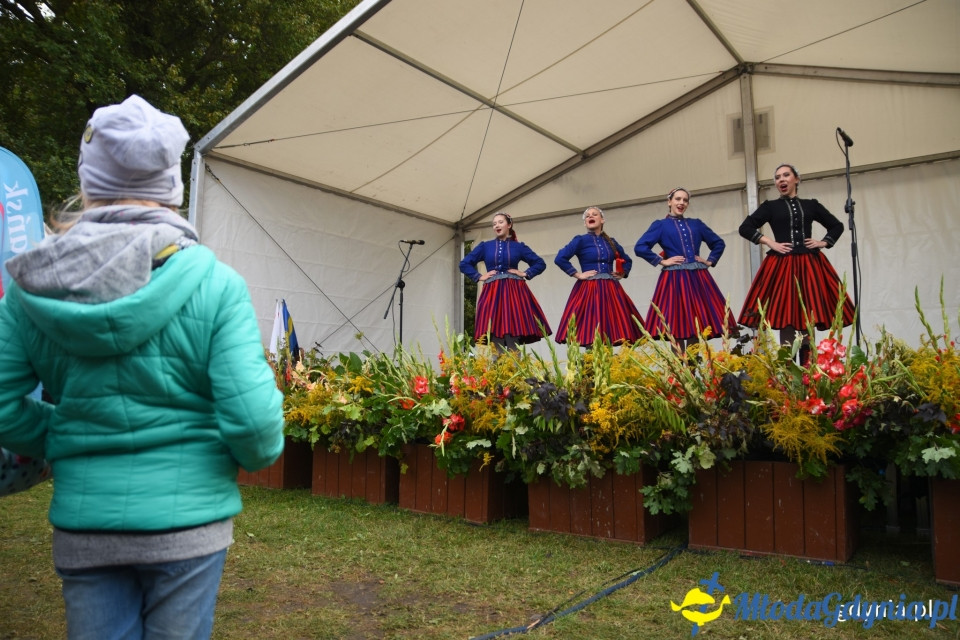 Regionalne smaki i ogrodowe inspiracje na Darach Ziemi