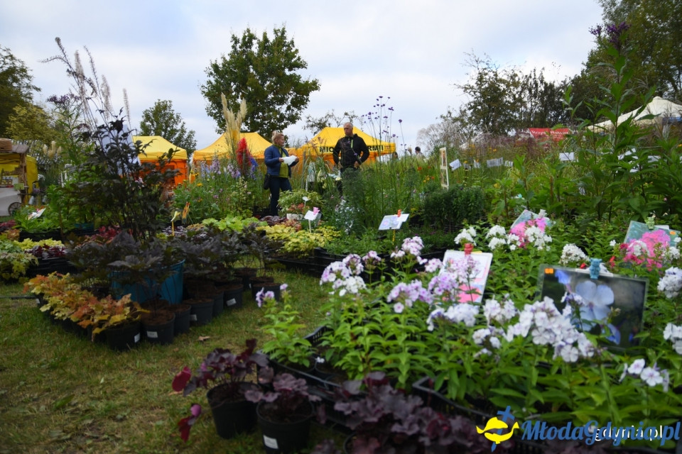 Regionalne smaki i ogrodowe inspiracje na Darach Ziemi