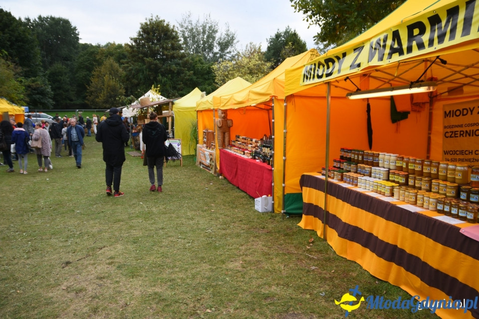 Regionalne smaki i ogrodowe inspiracje na Darach Ziemi