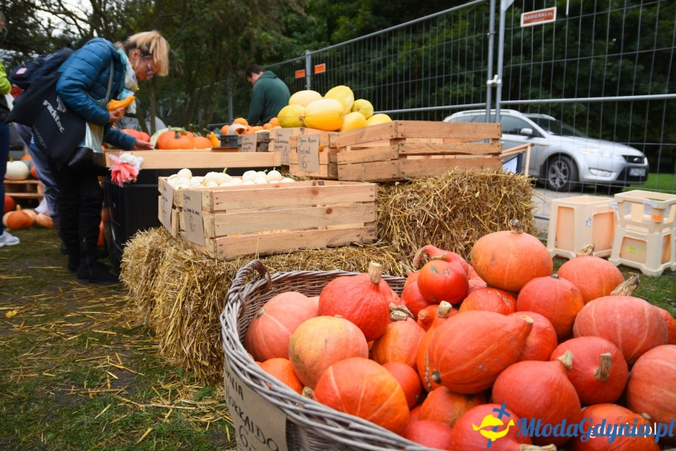 Regionalne smaki i ogrodowe inspiracje na Darach Ziemi